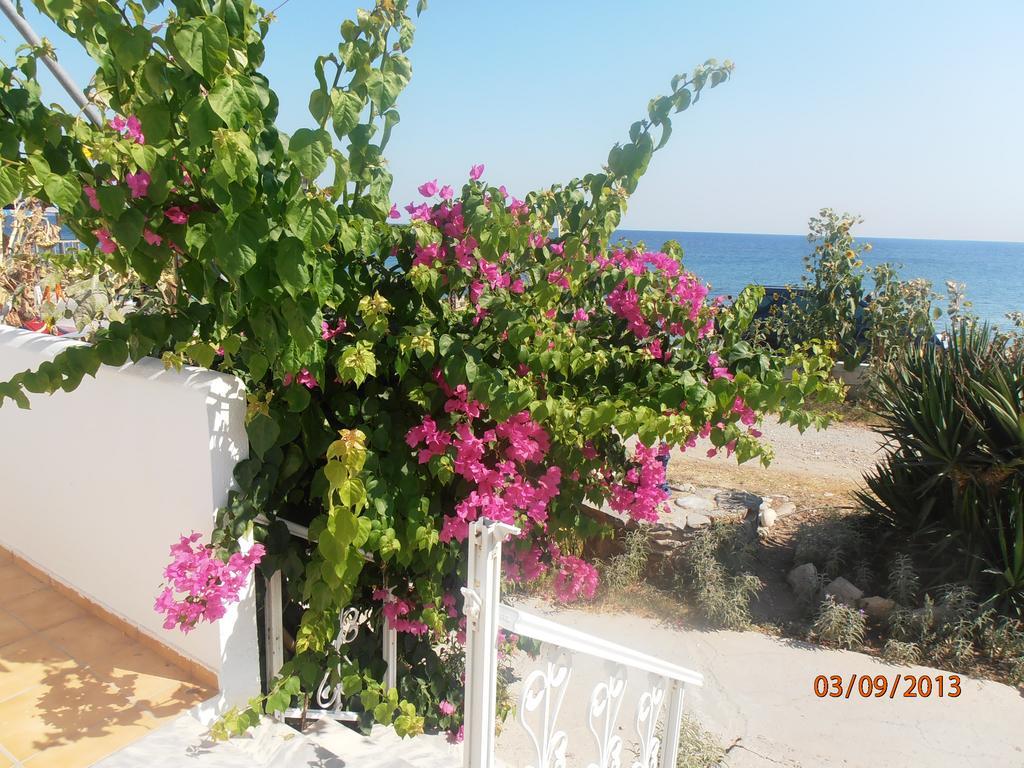 Iro Apartments Paralia Agias Foteinis Luaran gambar